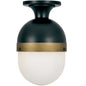  Capsule 1-Light Outdoor Ceiling Mount In Matte Black & Textured Gold