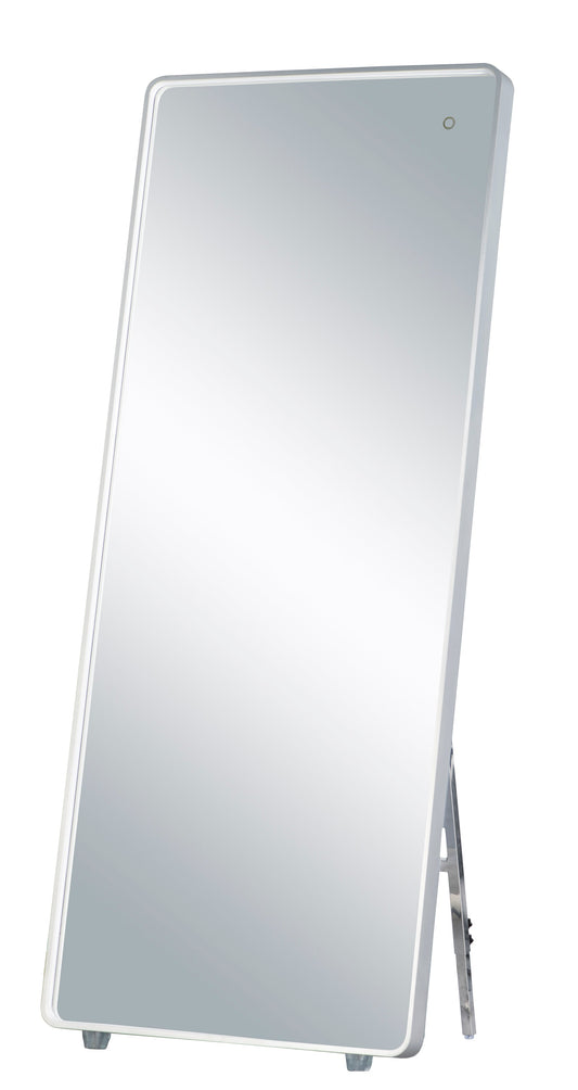  28" X 67" LED Mirror With Kick Stand