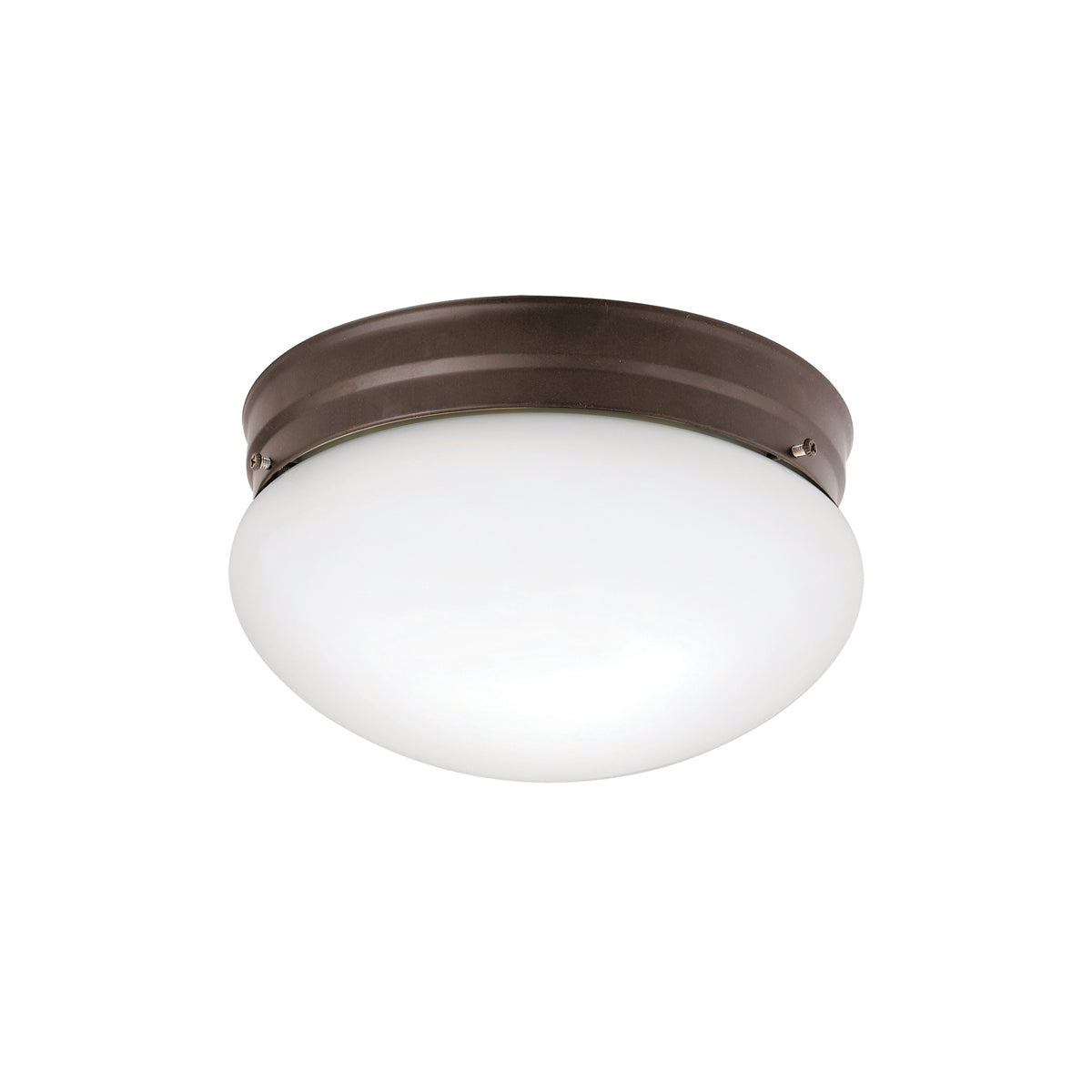  Ceiling Space 9.5" Flush Mount