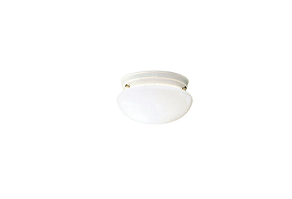  Ceiling Space 9.5" Flush Mount