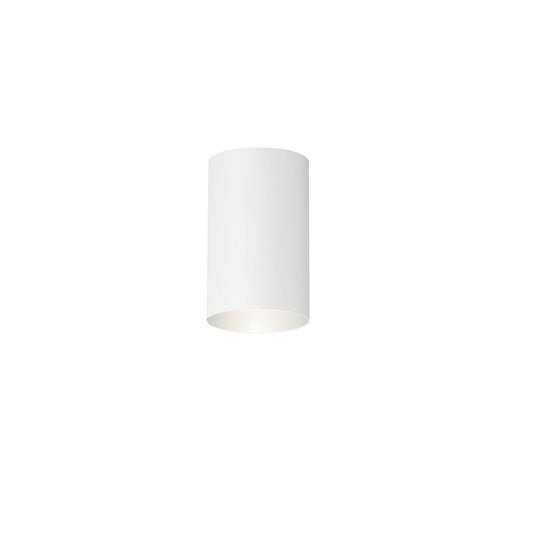  Indoor/Outdoor Ceiling Light 1-Light In White