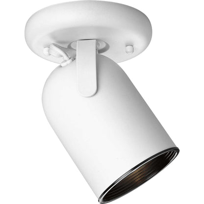  1-Light Multi-Directional Roundback Wall/Ceiling Fixture