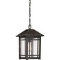  Cedar Point 1-Light Outdoor Lantern In Palladian Bronze