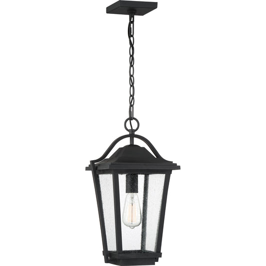  Darius 1-Light Outdoor Lantern In Earth Black