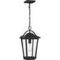  Darius 1-Light Outdoor Lantern In Earth Black