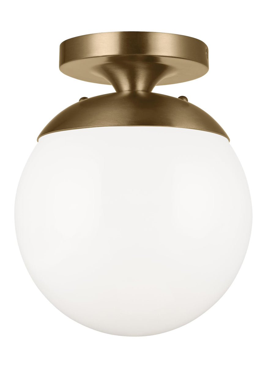  Leo - Hanging Globe 1-Light Wall/Ceiling Semi-Flush Mount